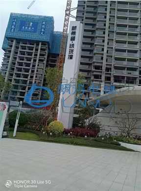 广东省-佛山顺德新希望